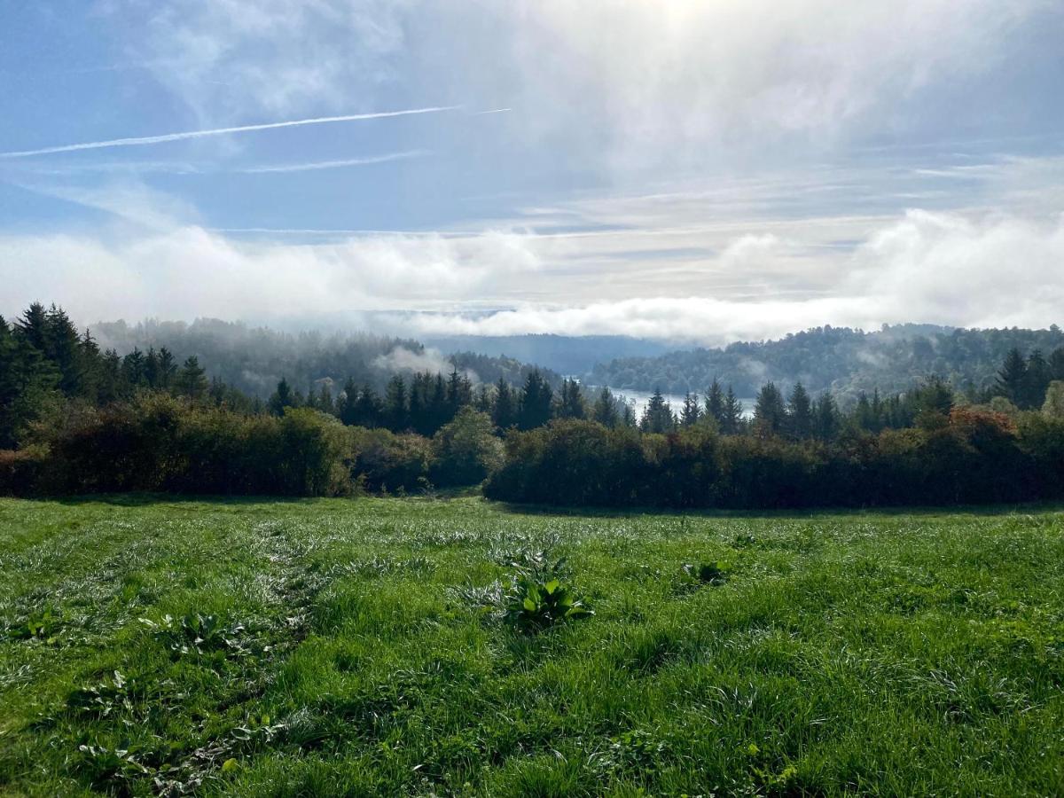 La Grande Marmite Du Lac De Vouglans Villa Pont-de-Poitte Esterno foto